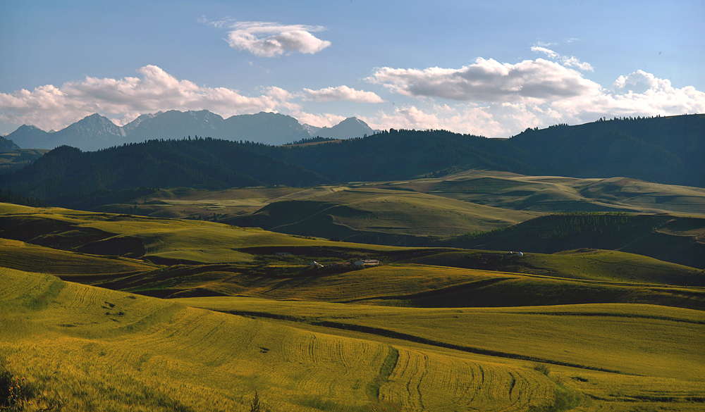 DSC_6987-1.jpg