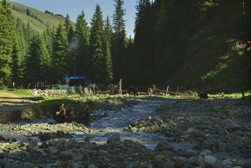 DSC_4101-1.jpg