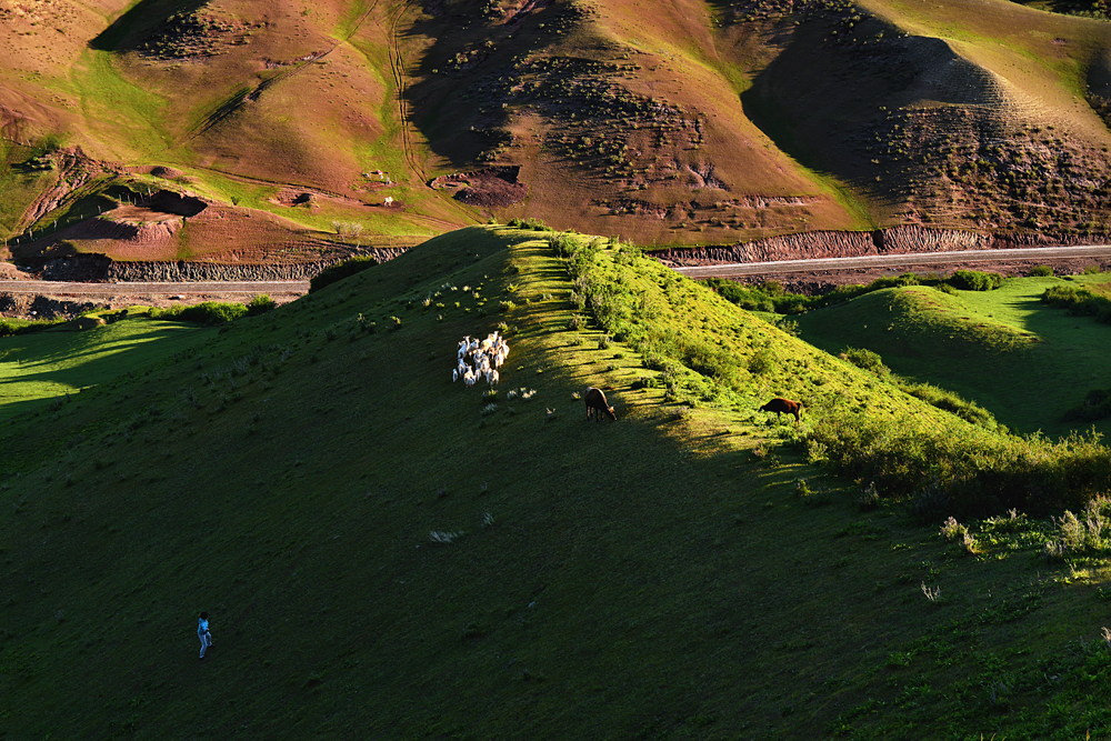 DSC_4028-1.jpg