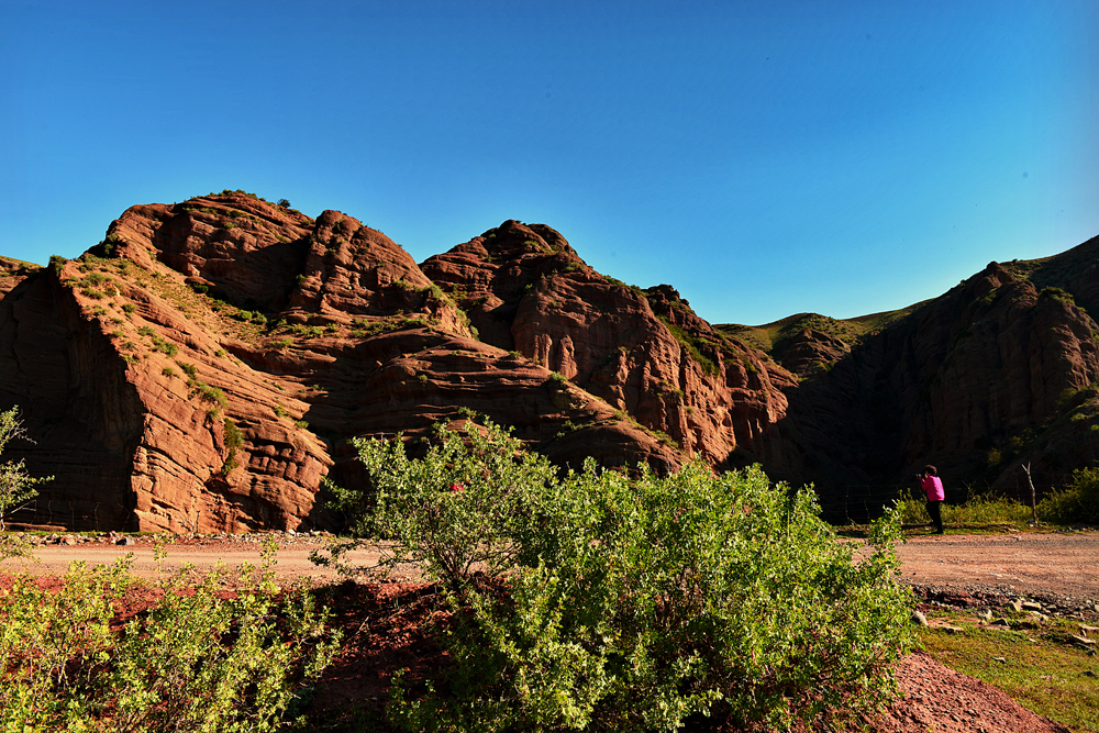 DSC_4068--1.jpg