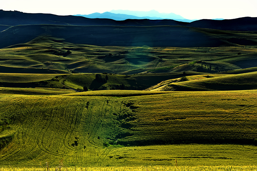 DSC_7012--1.jpg