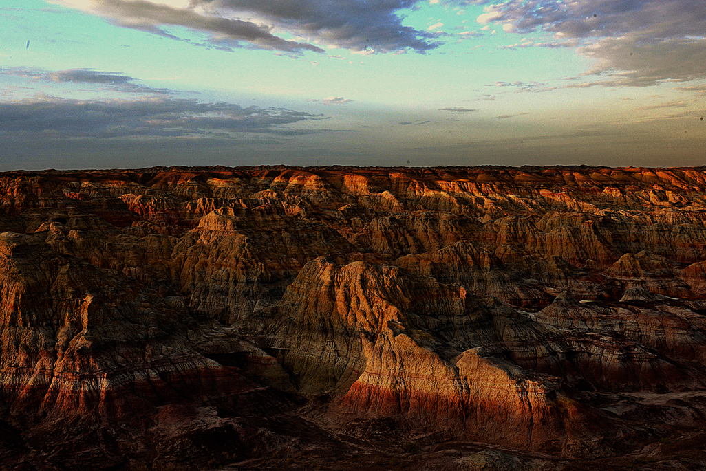 DSC_7785-1.jpg