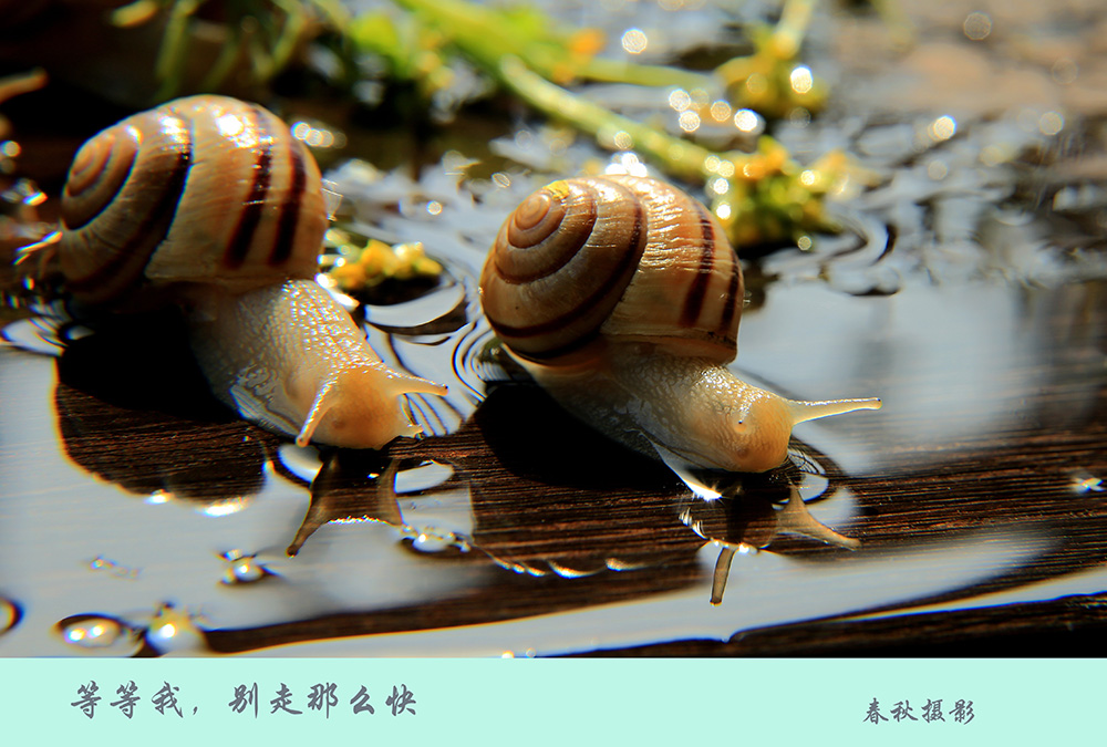 C43A0902.JPG