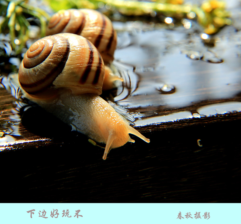 C43A0887-1.jpg