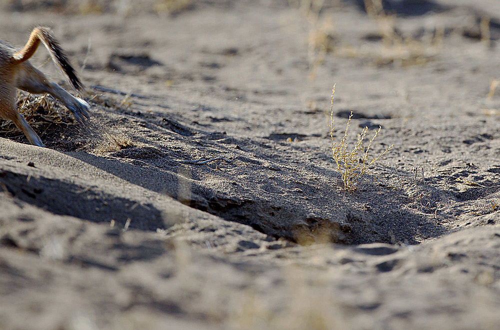 _N8E4853.JPG