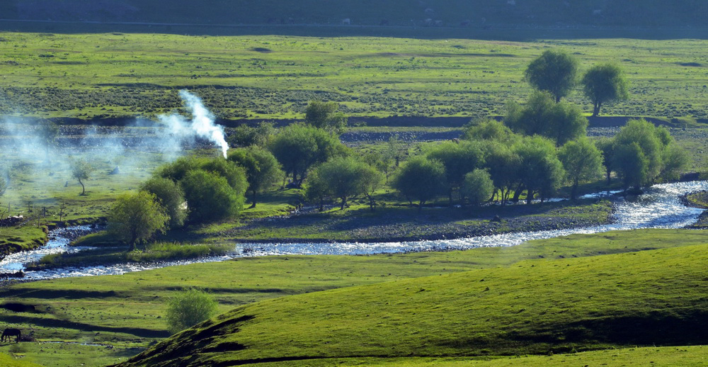DSC_8187.jpg