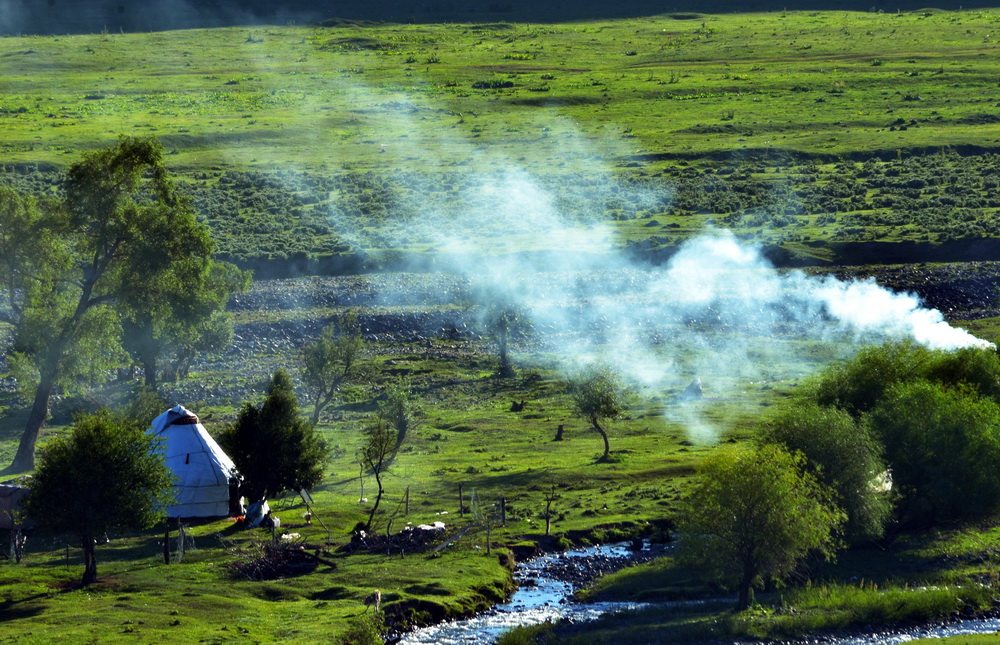  DSC_8185.JPG