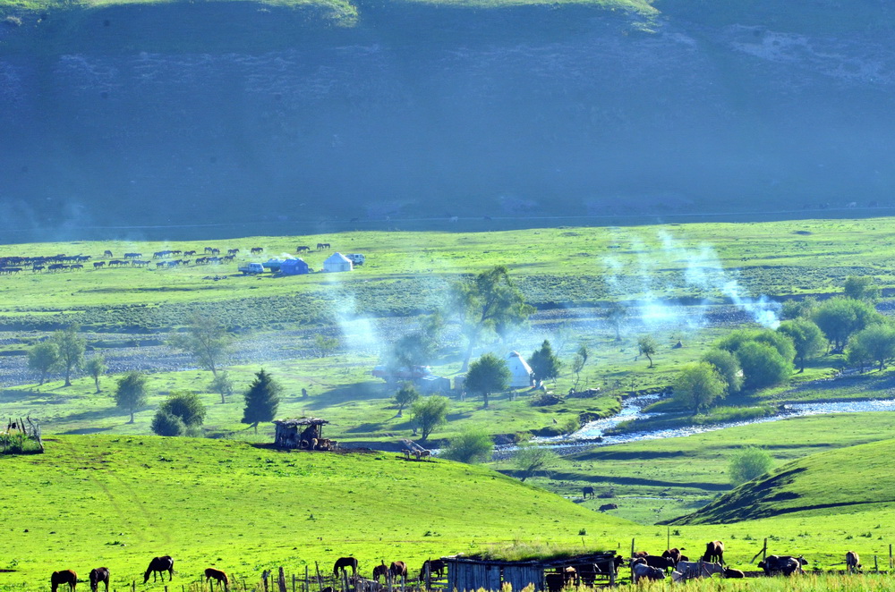  DSC_8188.JPG