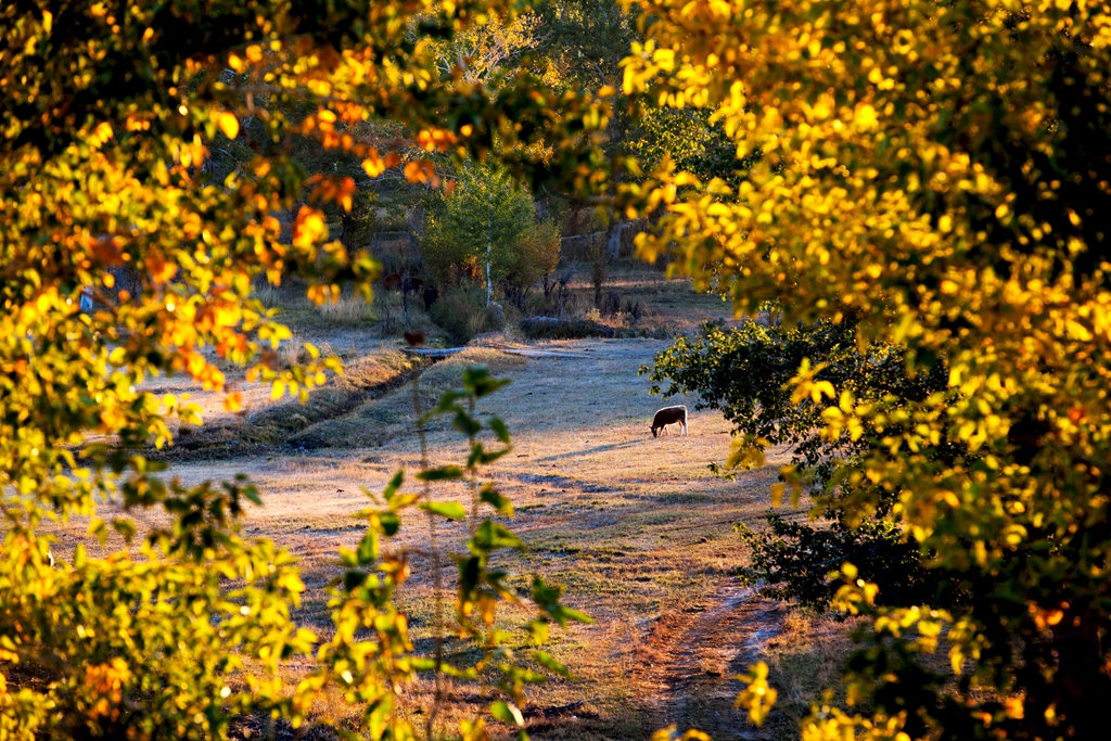 _MG_97821.jpg