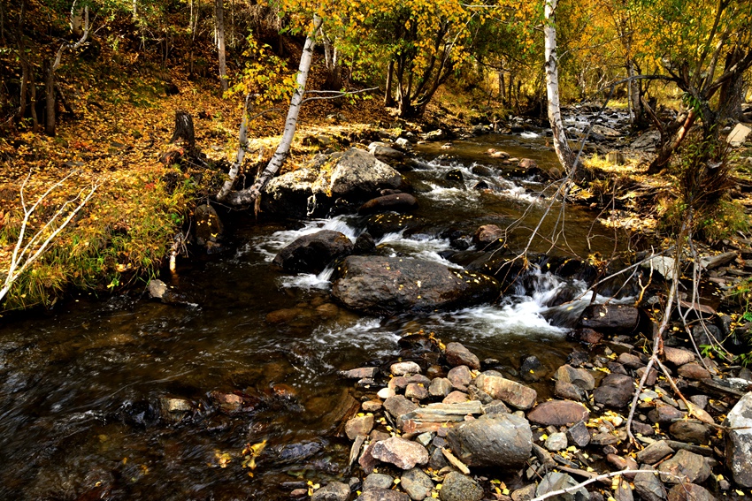DSC_6573__.jpg