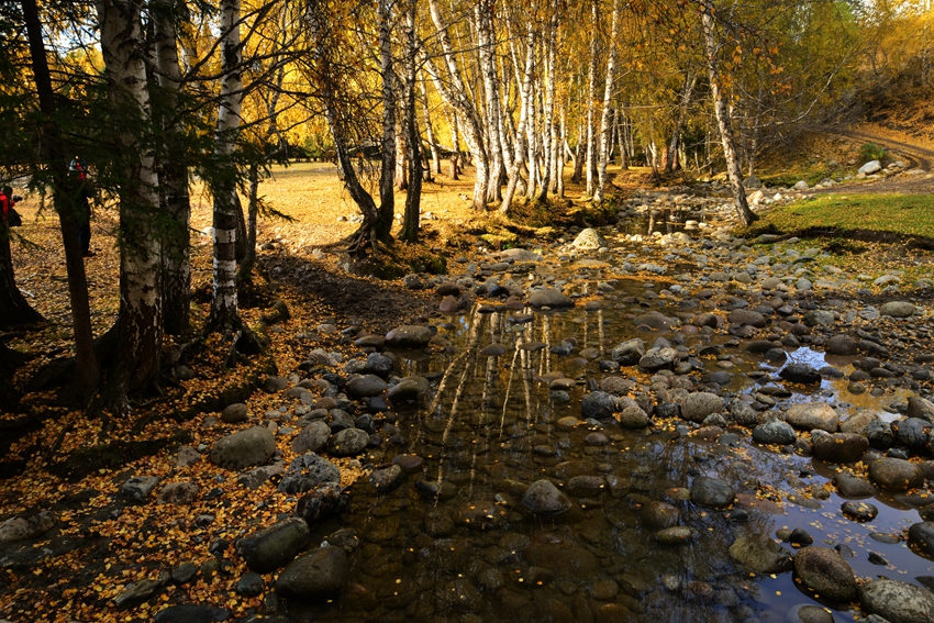 DSC_6412_.jpg