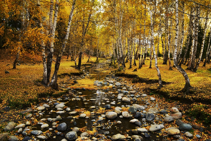 DSC_6413__.jpg