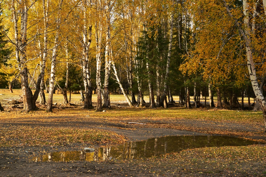 DSC_6415__.jpg