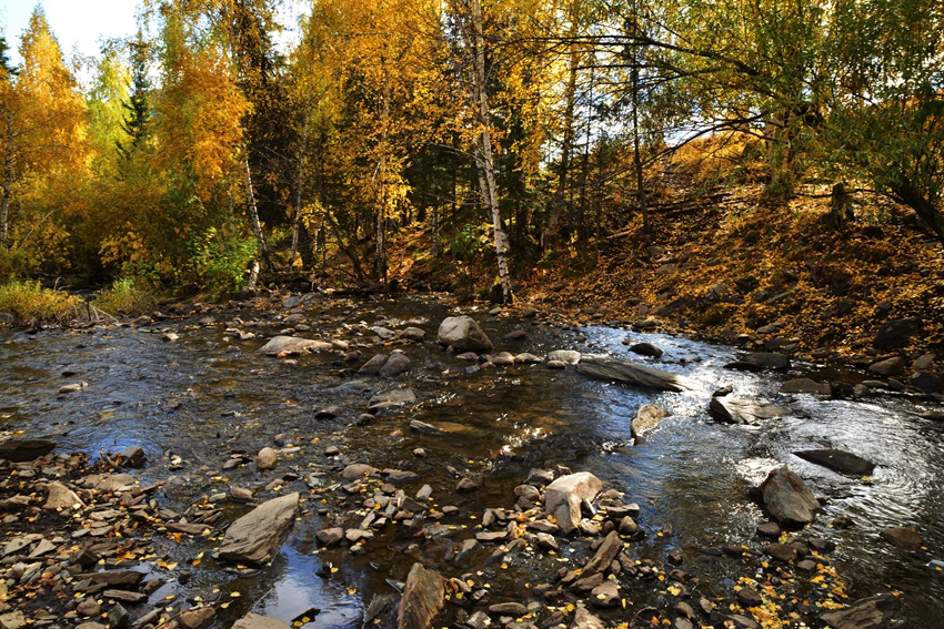 DSC_6571__.jpg