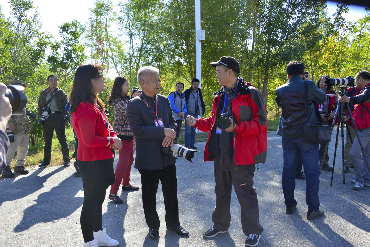 nEO_IMG__DSC2794.jpg