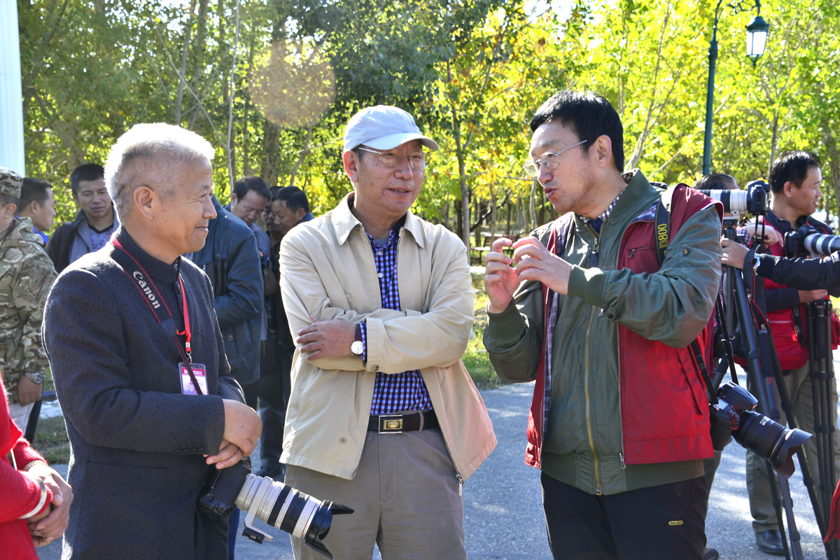nEO_IMG__DSC2809.jpg