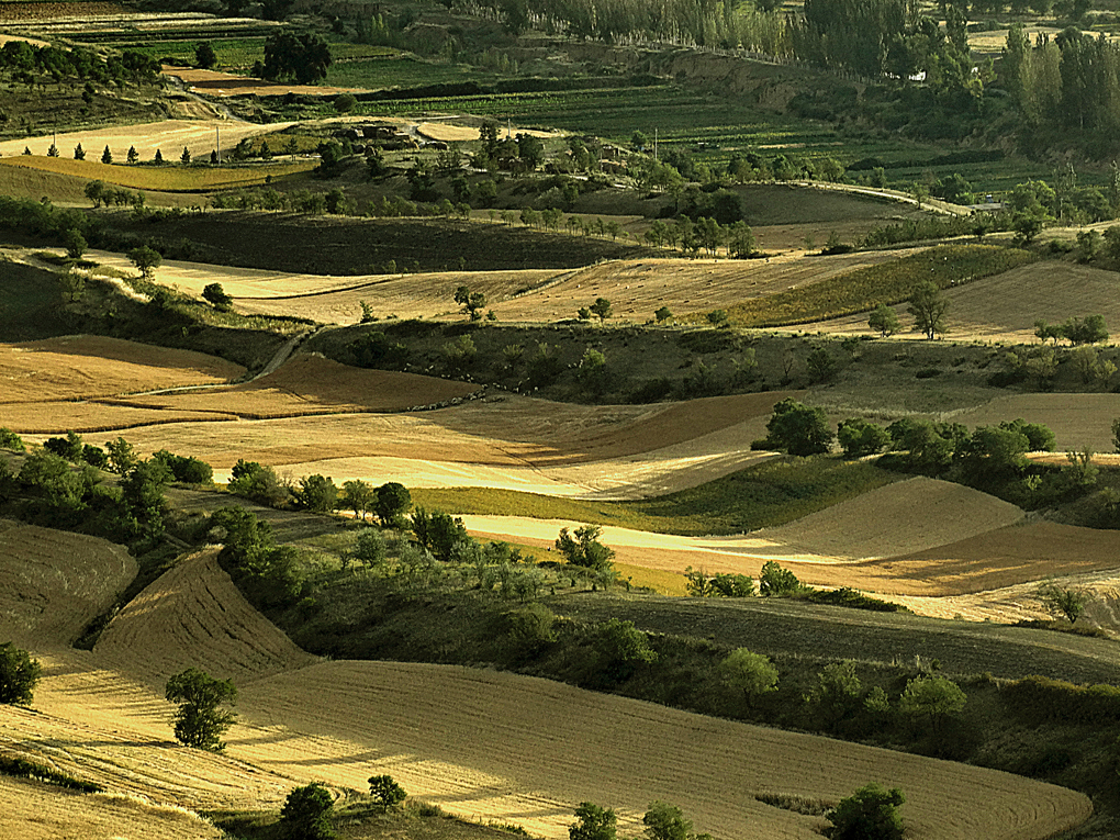 DSC01412-1.jpg