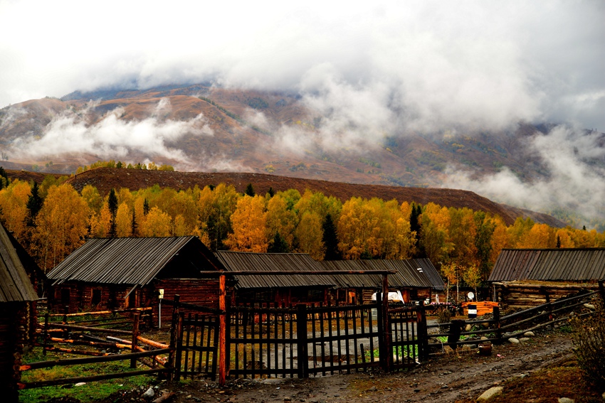 DSC_5979__.jpg