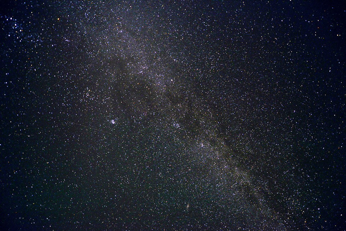 _DSC5510.jpg