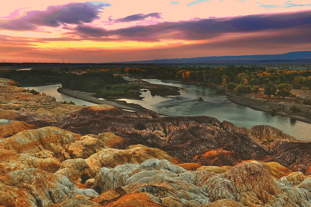 DSC_0100-1.jpg