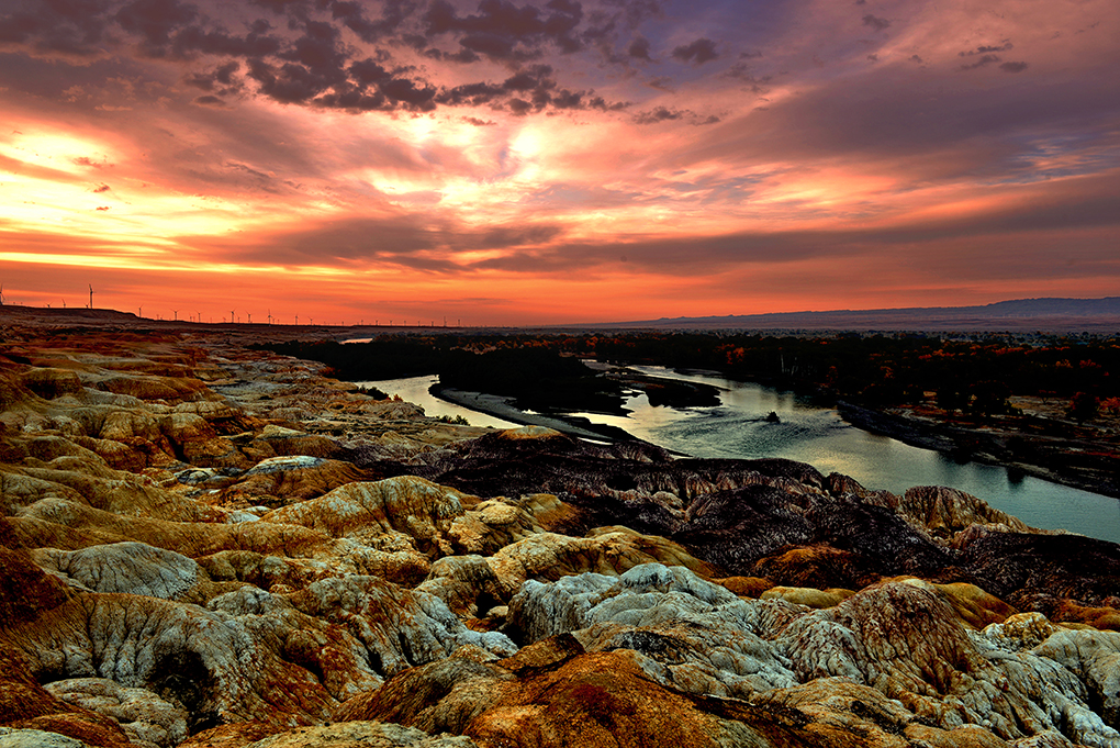 DSC_0105-1.jpg