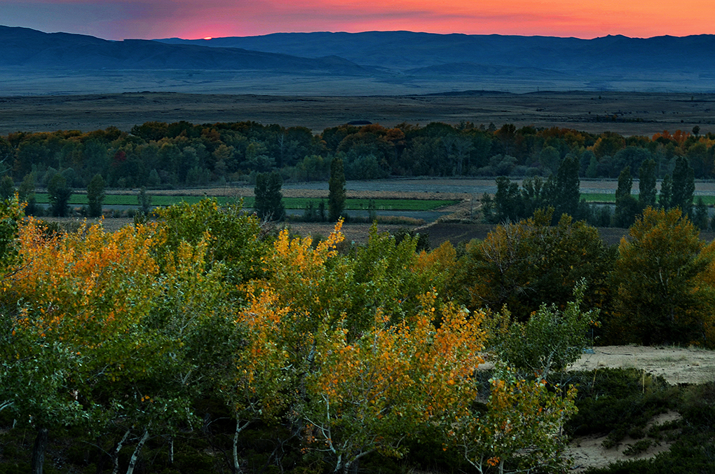 DSC_9165-1.jpg