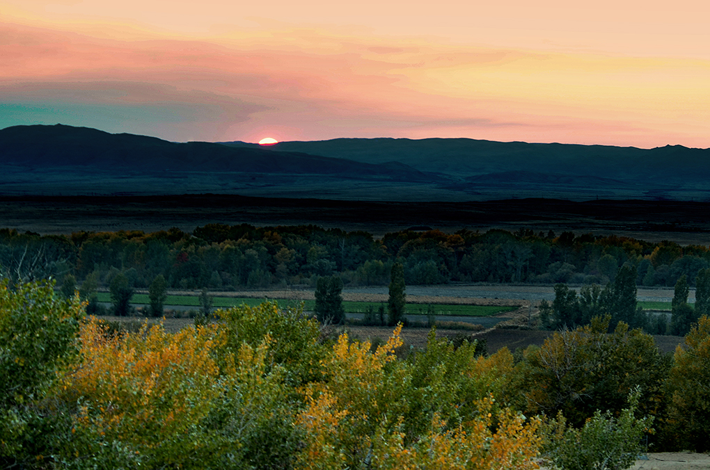 DSC_9163-1.jpg