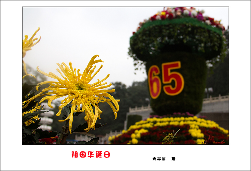hd05.jpg