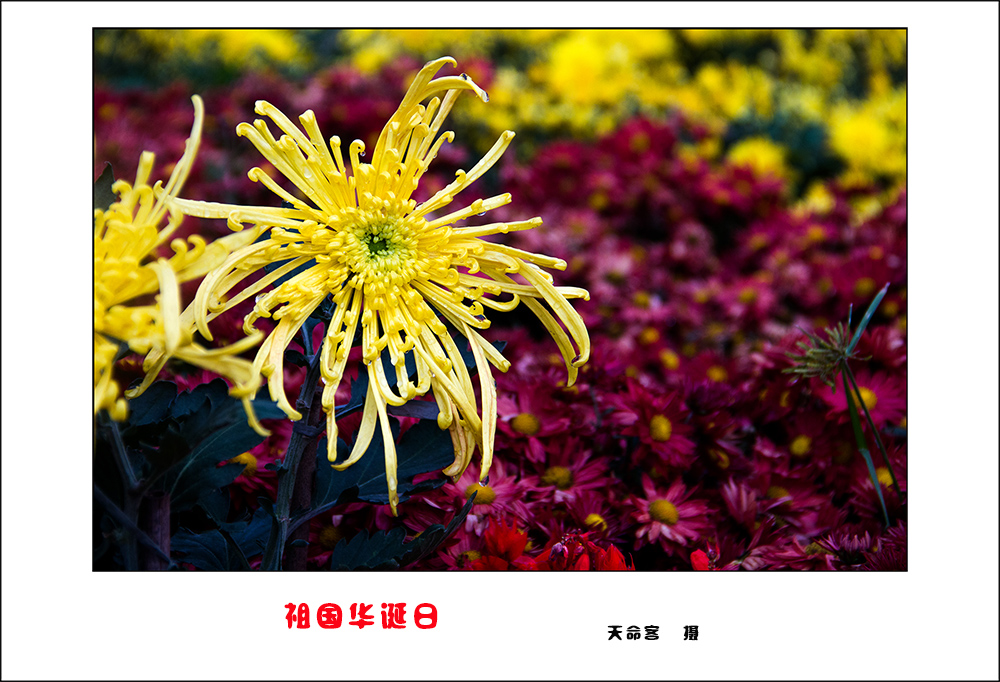 hd07.jpg