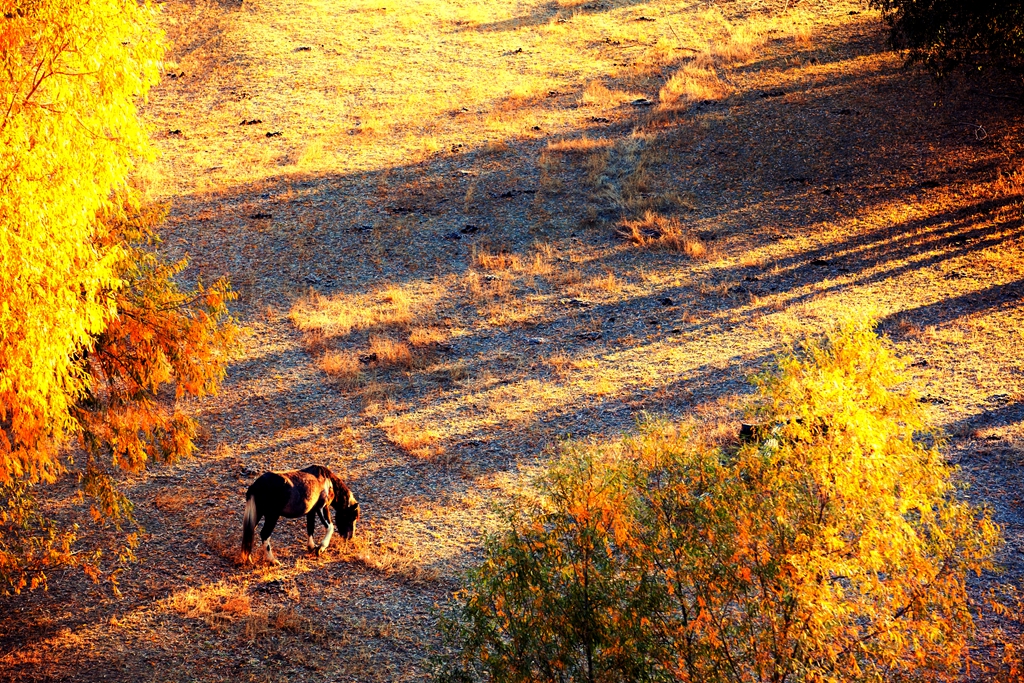 _MG_38381.jpg