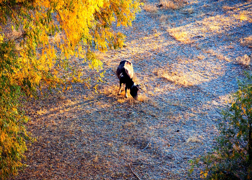 _MG_38081.jpg