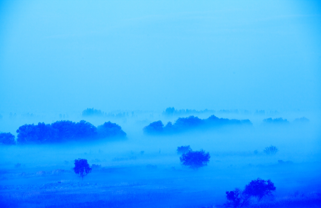_MG_42391.jpg