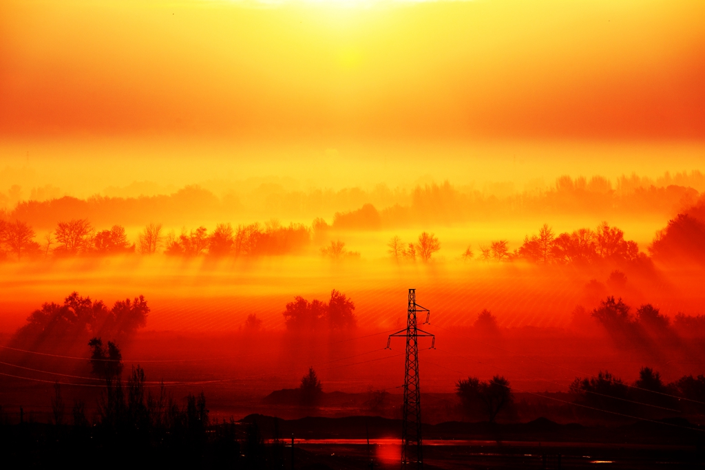 _MG_42821.jpg