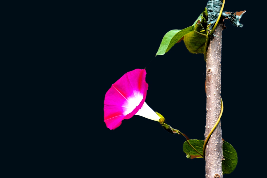 DSC_0026.JPG
