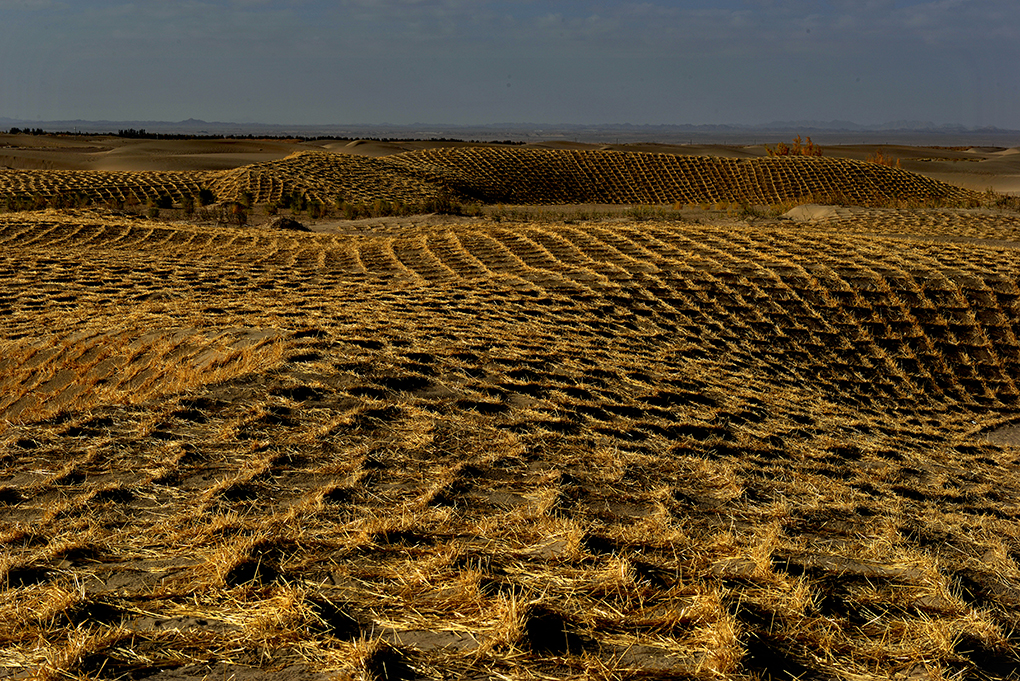 DSC_0626-1.jpg