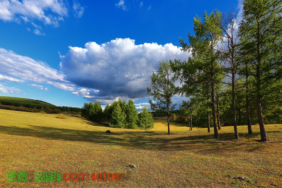DPP_0004.JPG