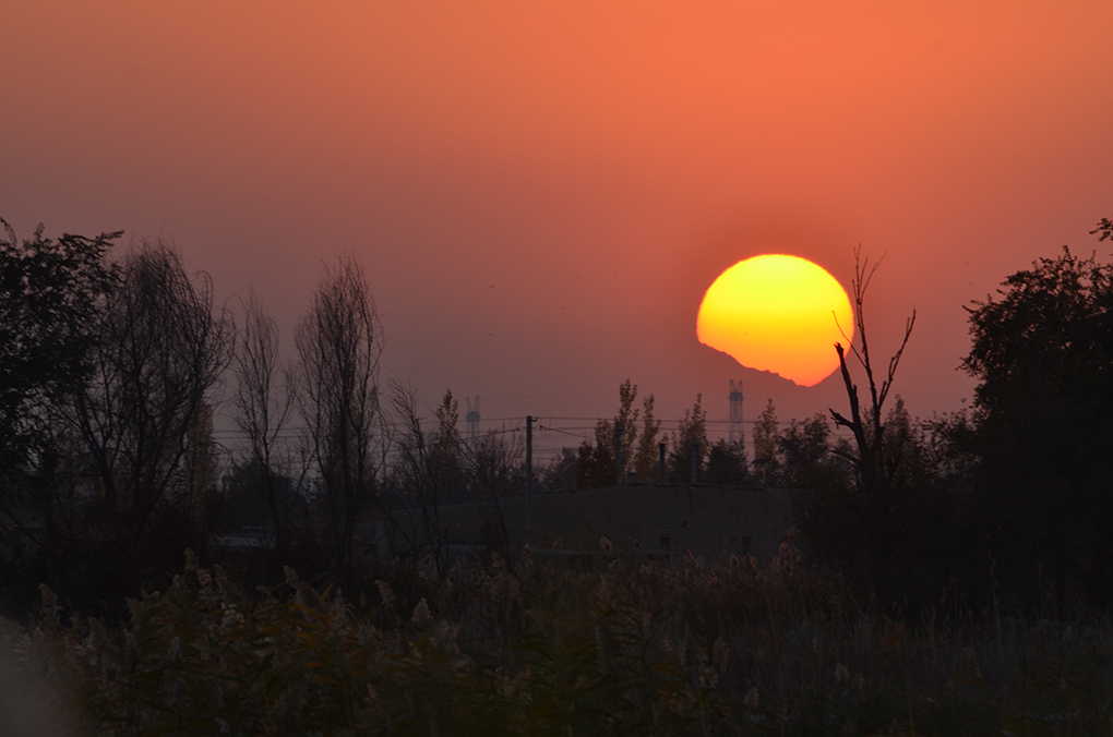 DSC_9679.JPG