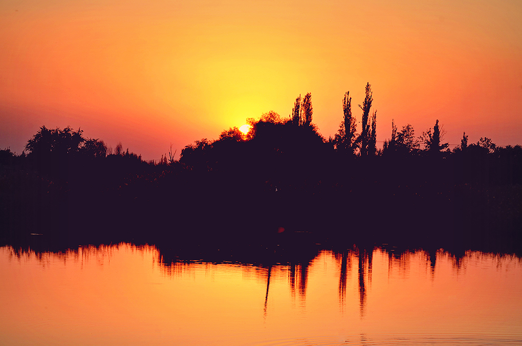 DSC_9668-1.jpg