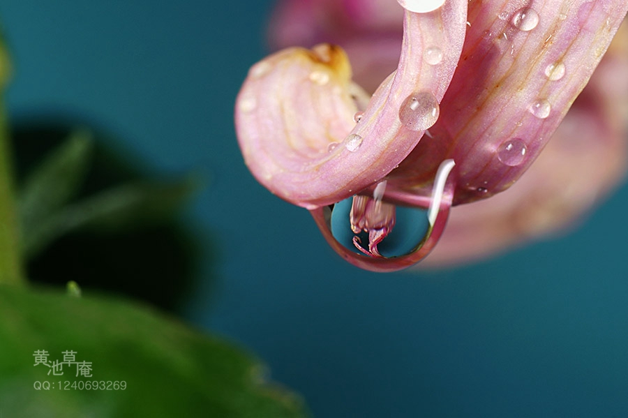 DSC03163.jpg