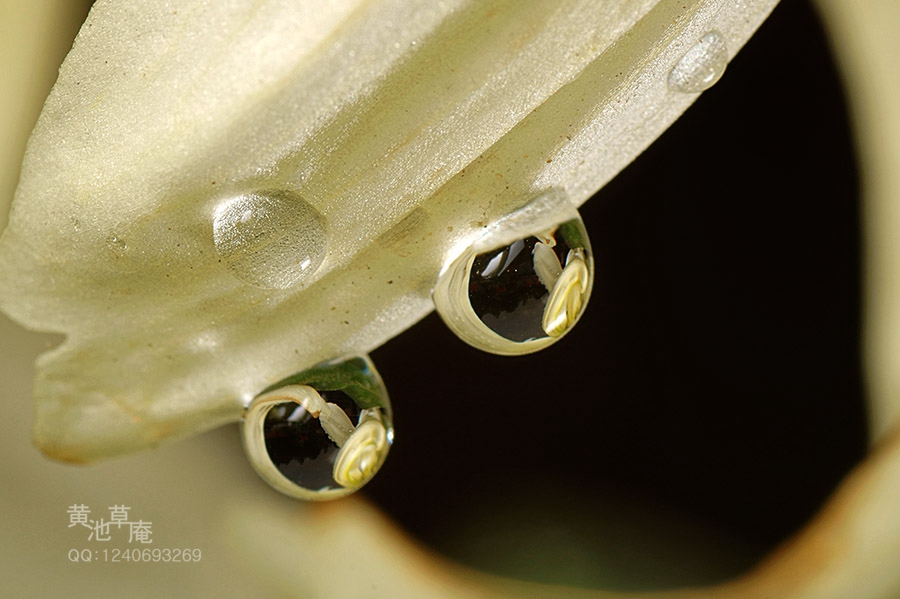 DSC03269.jpg