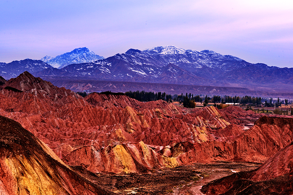 DSC_0667-1.jpg