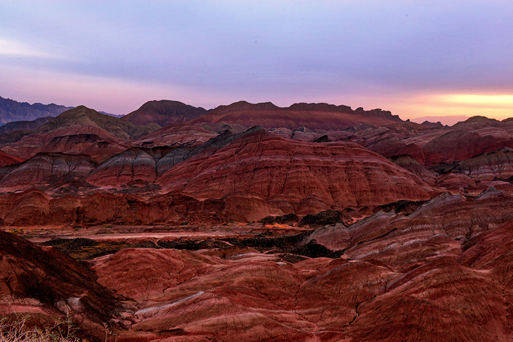 DSC_0638-1.jpg