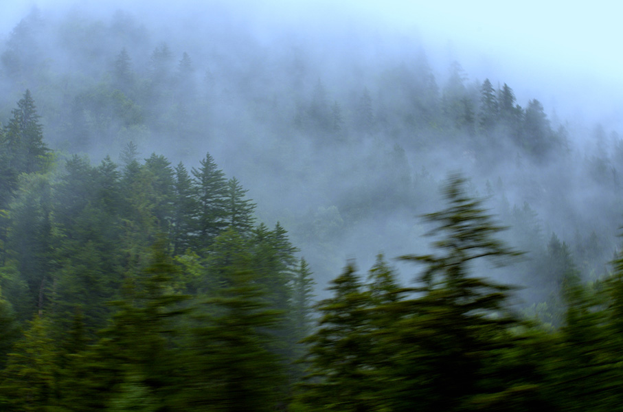 _DSC0003.jpg