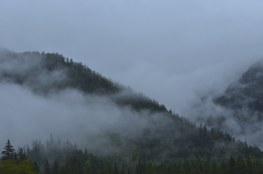 _DSC0013.jpg
