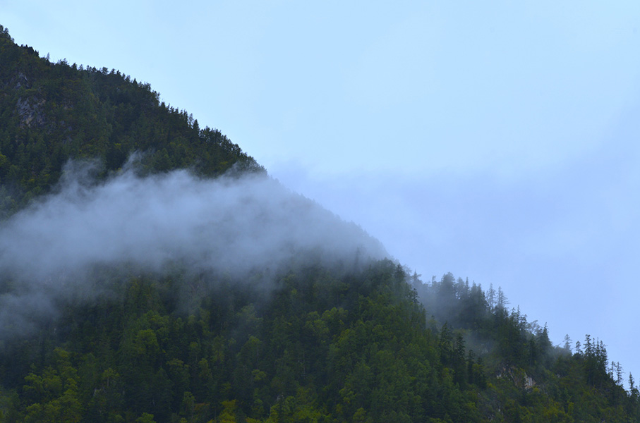 _DSC0028.jpg