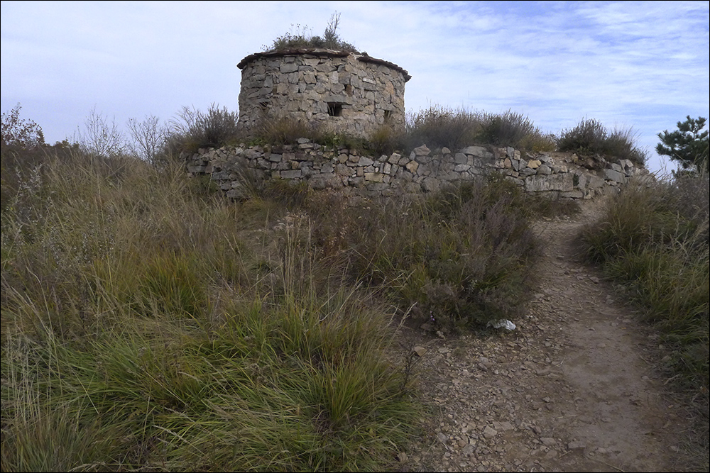 L1040789.jpg