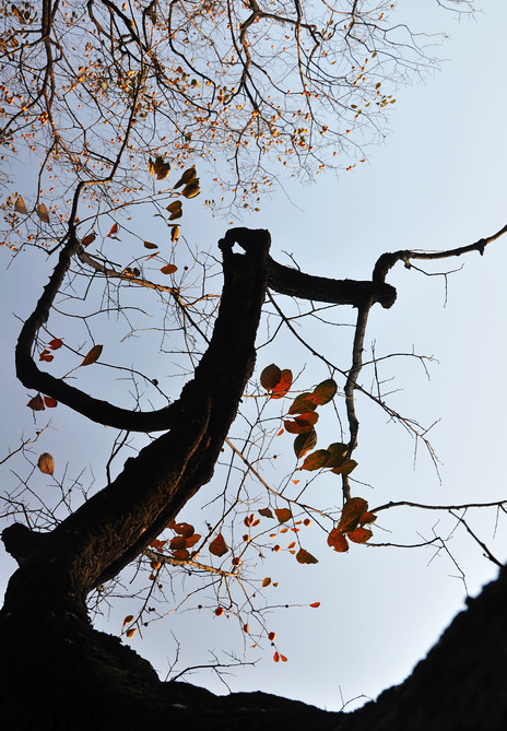 DSC_0023.JPG