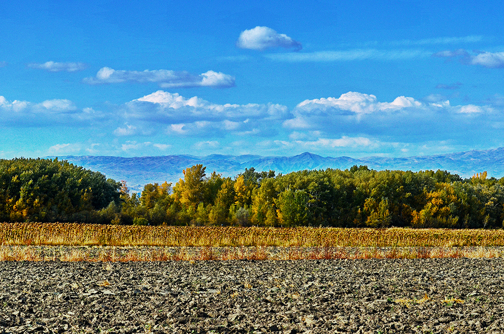 DSC_9089--1.jpg