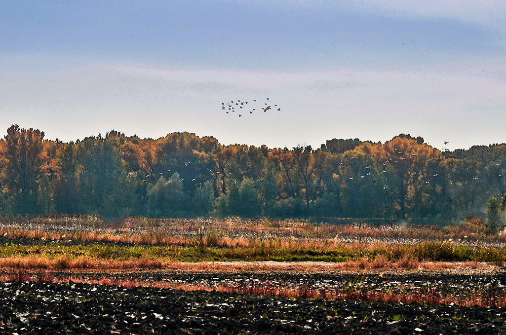 DSC_9088-1.jpg