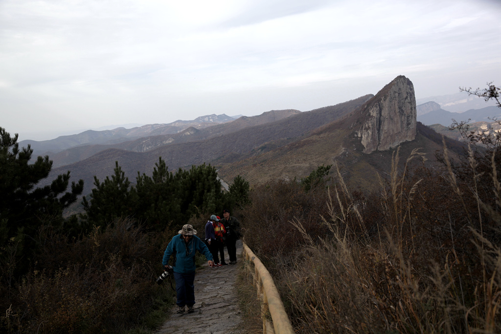 _MG_0289_.jpg